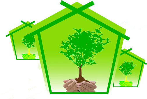 Международный конкурс семейных проектов по изучению и охране деревьев «Adopt a Tree! ВОЗЬМИ ДЕРЕВО В СЕМЬЮ!»
