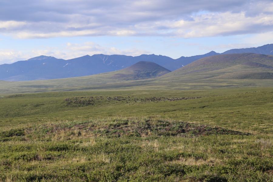 Ученые СВФУ исследуют уникальную местность в Арктике 