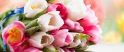 Евгения Михайлова: «8 марта, как символ весны дает надежды на лучшие перемены в жизни»
