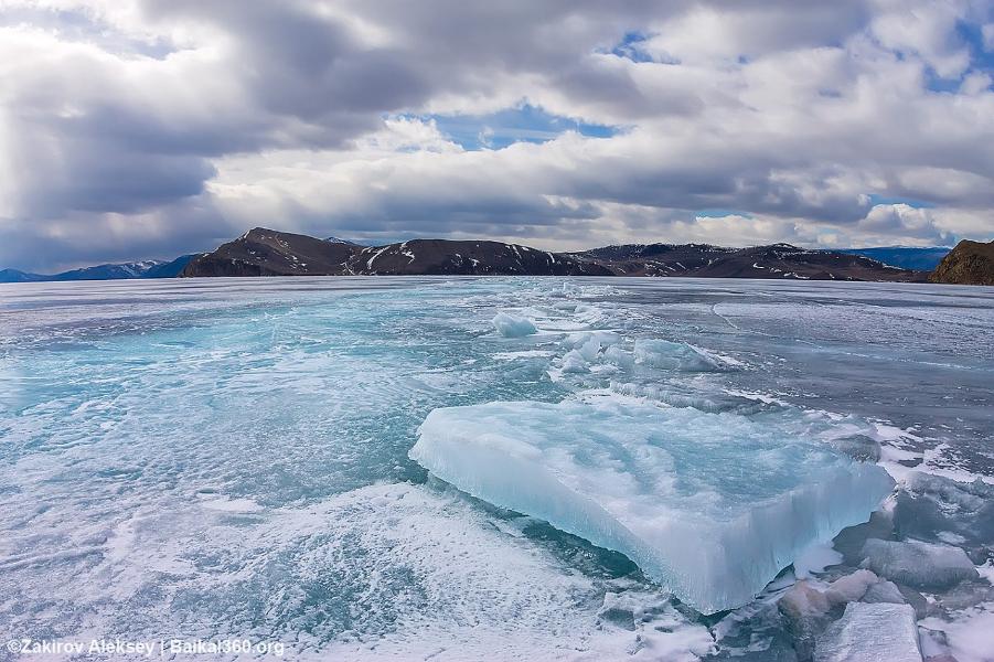 В СВФУ подведены итоги Арктической школы