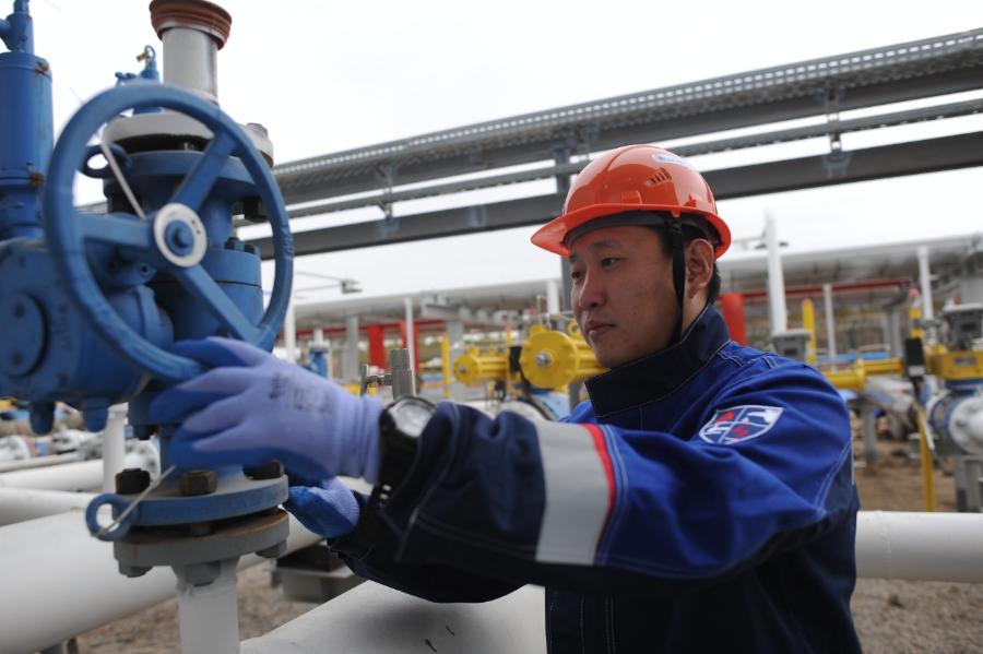 Порядка 50 специалистов для нефтегазовой отрасли Якутии ежегодно выпускаются в СВФУ