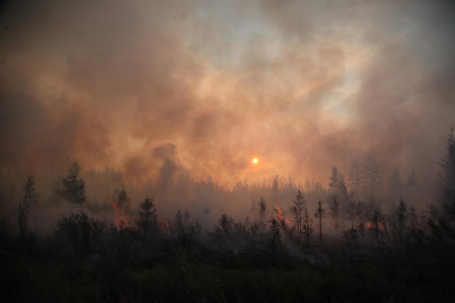 СФУР-2021: студент СВФУ рассказал о деятельности Общественного Добровольческого штаба РС(Я) по борьбе с лесными пожарами