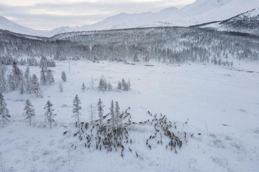 Российско-азиатский консорциум арктических исследований займется вопросами климата