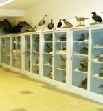 Музеи зоологии