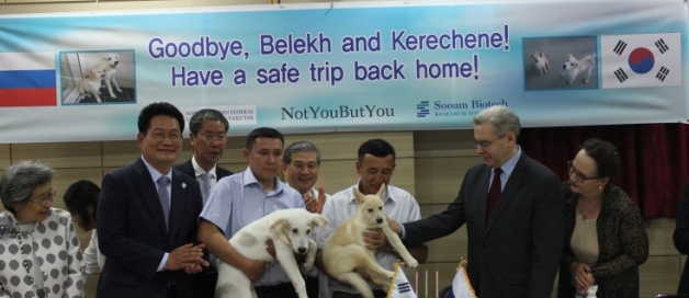 NEFU scientists and Sooam Foundation presented cloned puppies of the Yakut hunting breed in Korea